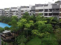 Meadows @ Peirce (D26), Condominium #65028962